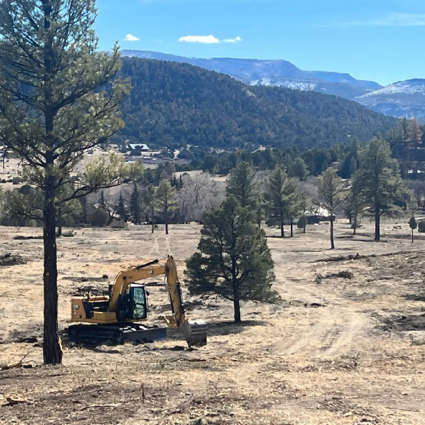 Yellow excavator in open field with pine trees