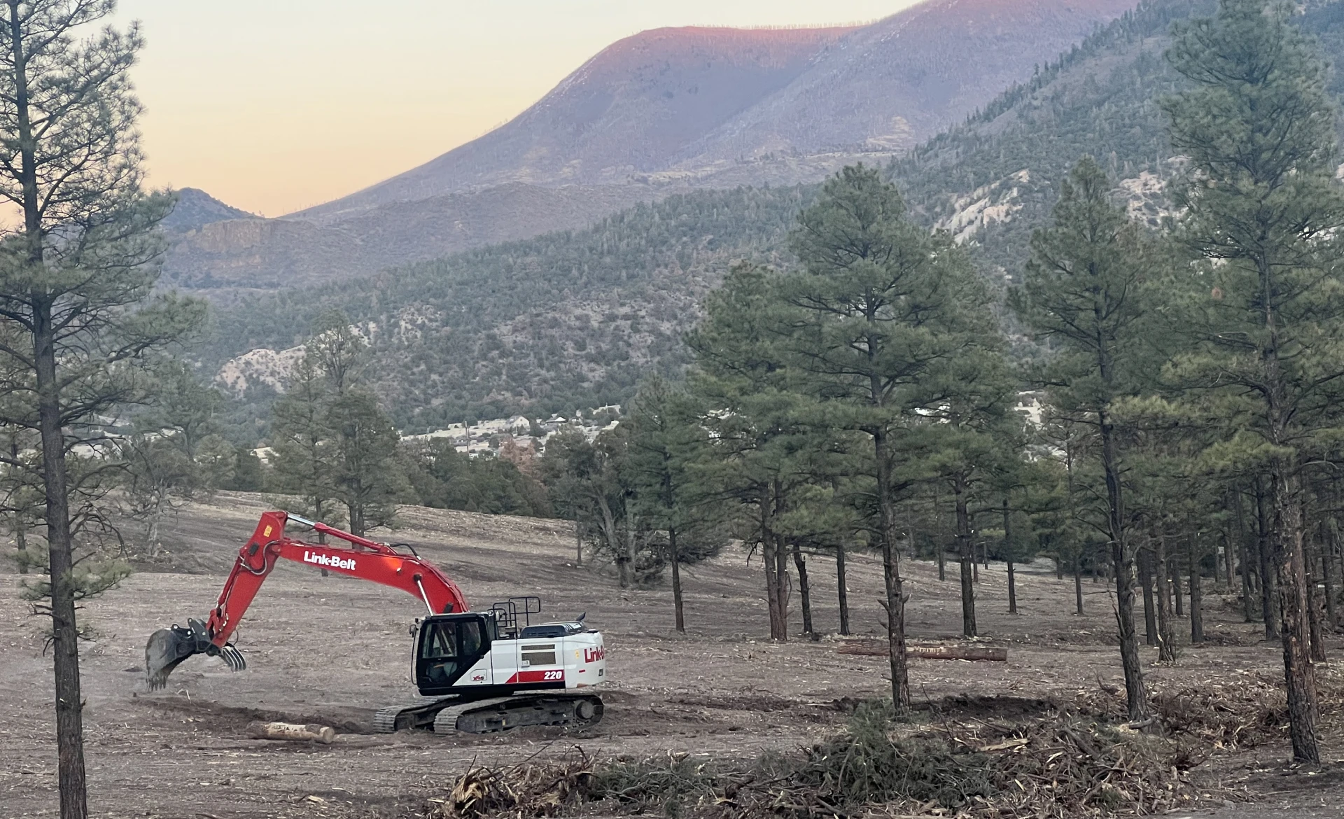Excavator clearing forested area