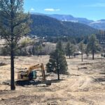 Yellow excavator in open field with pine trees