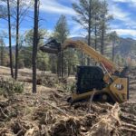 Yellow CAT skid steer clearing pine forest debris