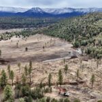 Aerial view of logged forest with excavator