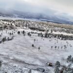 Aerial view of snowy pine forest and clearing
