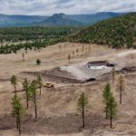 Aerial view of cleared construction site among pines
